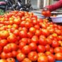 Big relief for consumers as govt begins tomatoes sale at subsidised rate of Rs 65 per kg in Delhi