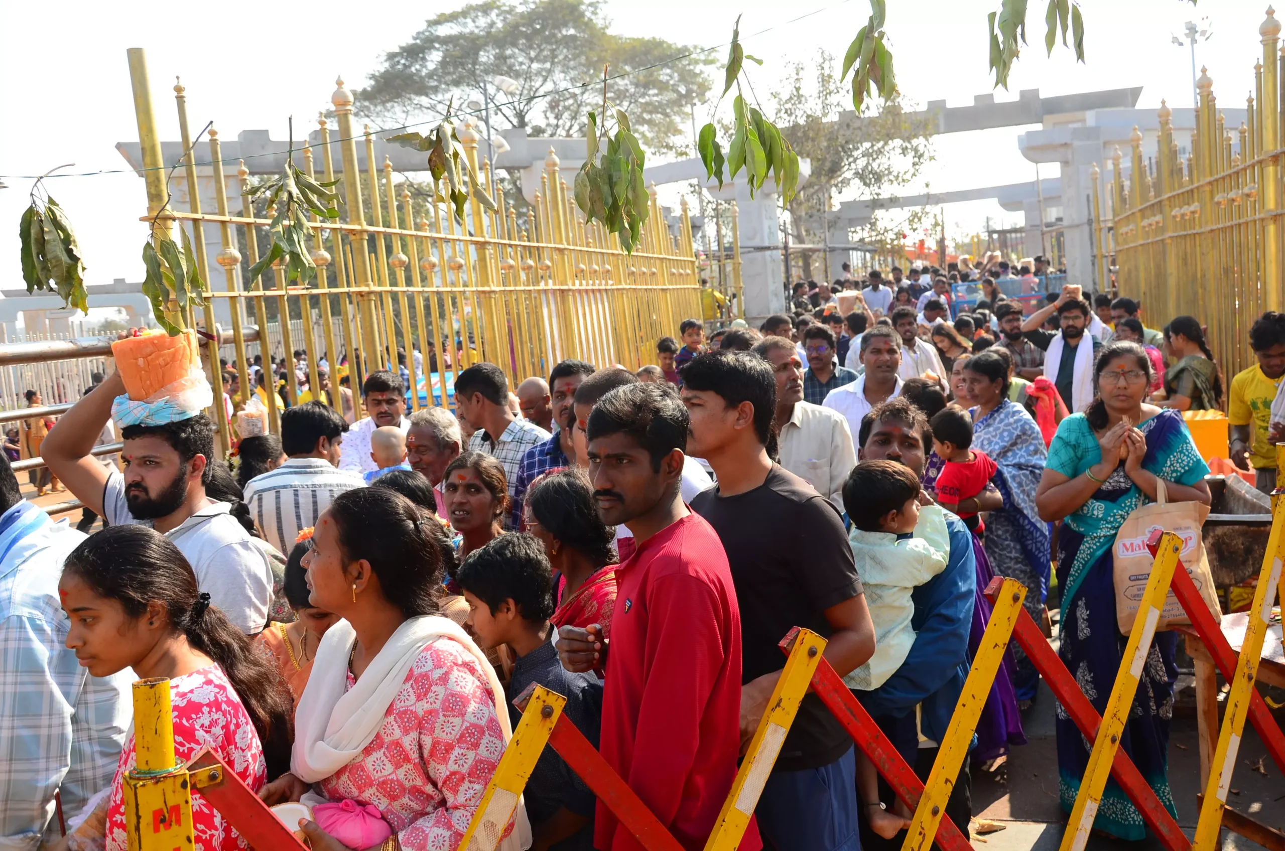 ‘My Medaram’ WhatsApp Chatbot Launched to Assist Devotees During Jatara