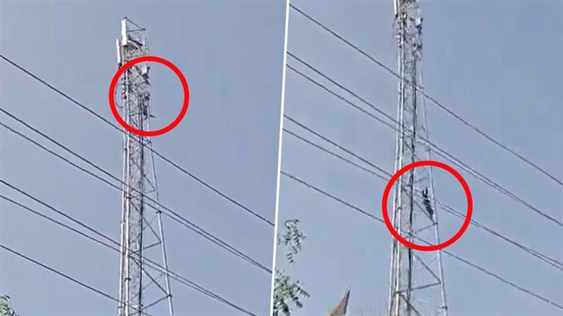 Heartbreak in UP: Youth falls to death from 100-foot mobile tower after ‘marry me’ ultimatum