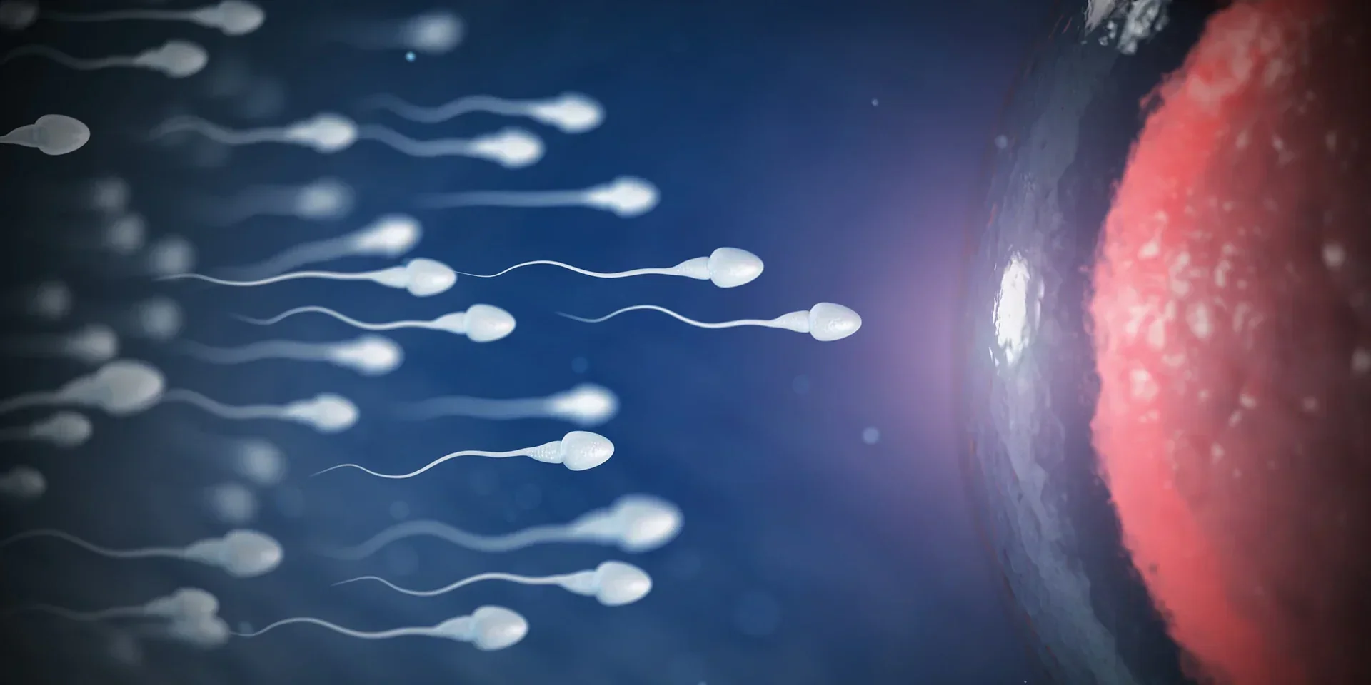 How to Improve Sperm Count Naturally