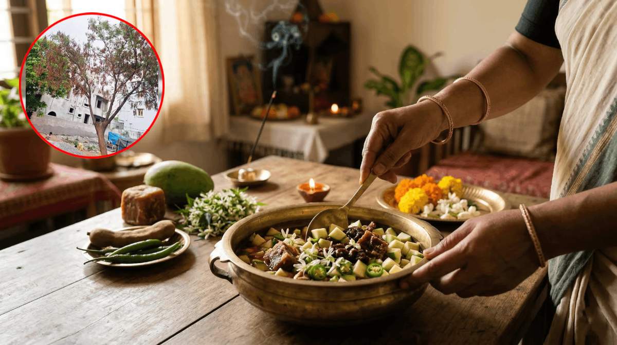 Ugadi 2026: Shortage of Neem Flowers for Ugadi Pachadi?