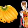 What Happens to Your Body When You Eat Bananas Every Morning