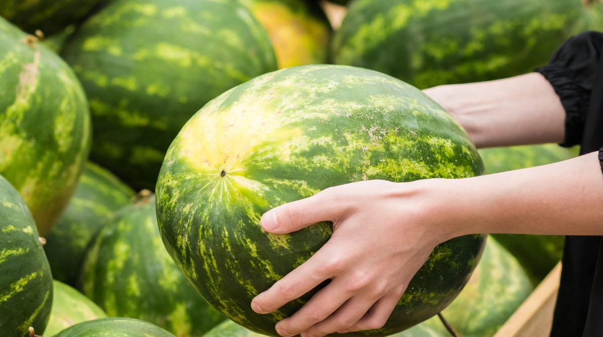 best tricks to pick watermelon