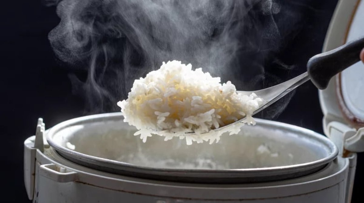 Rice At Night: Does It Lead To Weight Gain?