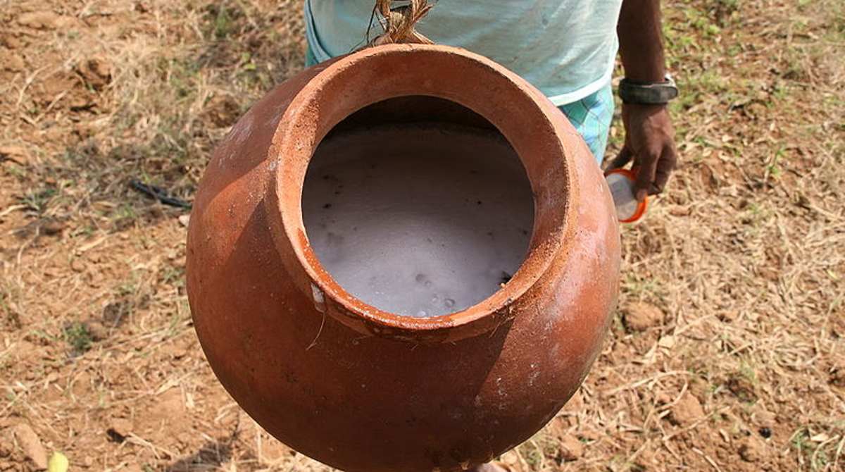 Detection of the Adulteration of Toddy