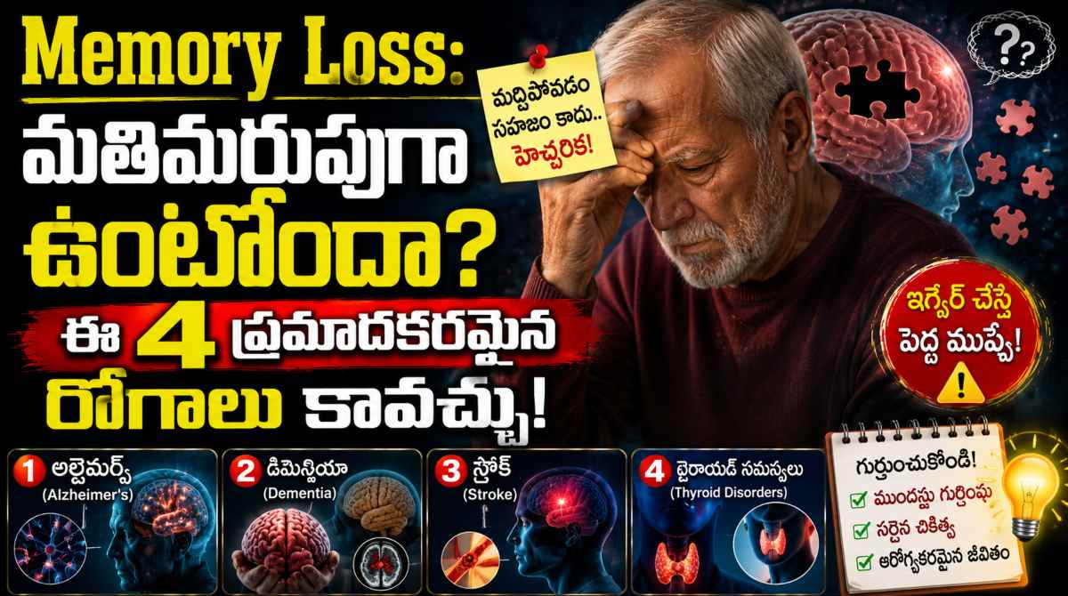 memory loss: type of memory diseases