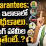 6 Guarantees Implementation and Pending Schemes