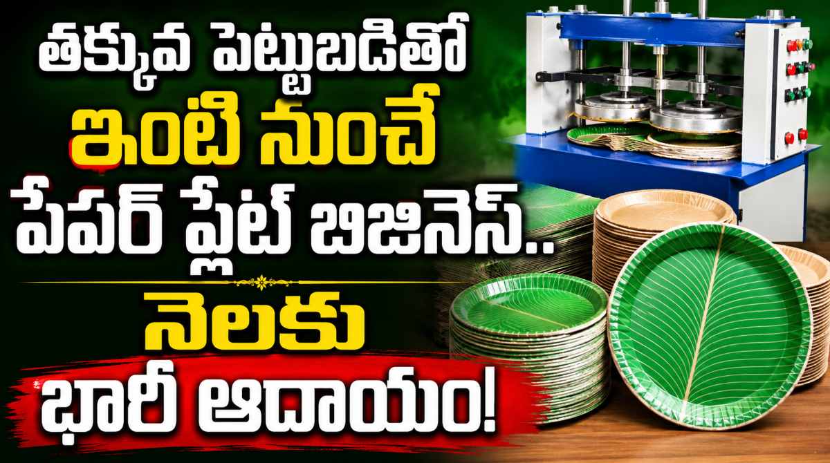Business: A Simple Guide for Paper plate business get High Profits