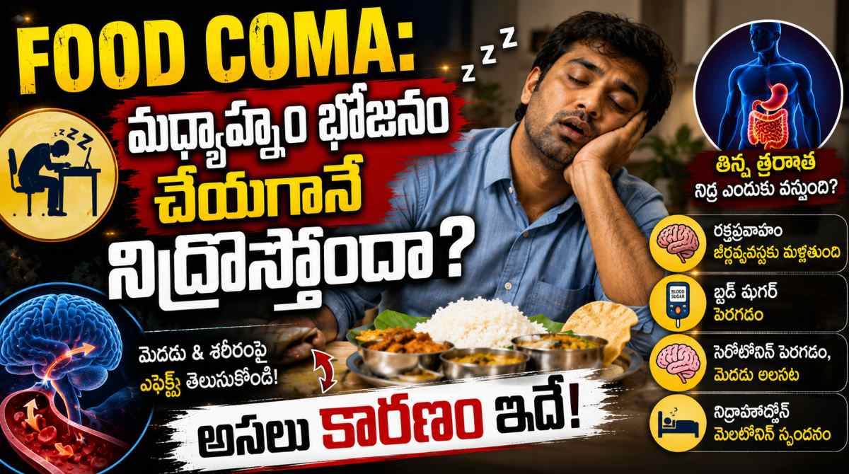 Food Coma: Why Do We Feel Sleepy After Lunch?