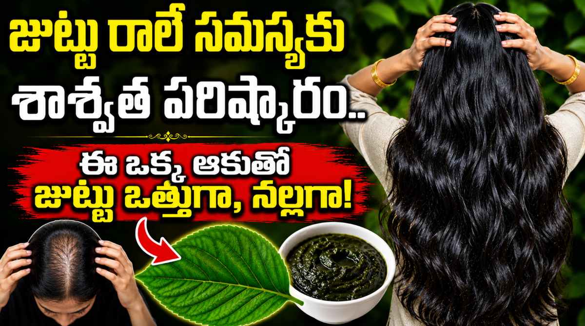 Herbal Leaf for Rapid Hair Growth: Get Thick and Strong Hair Naturally