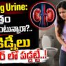 Holding Urine Health Risks