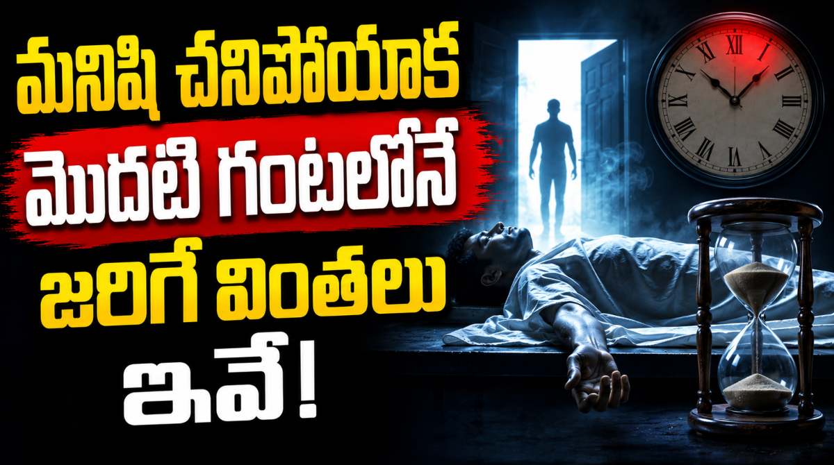 Human Body Within the First Hour of Death?