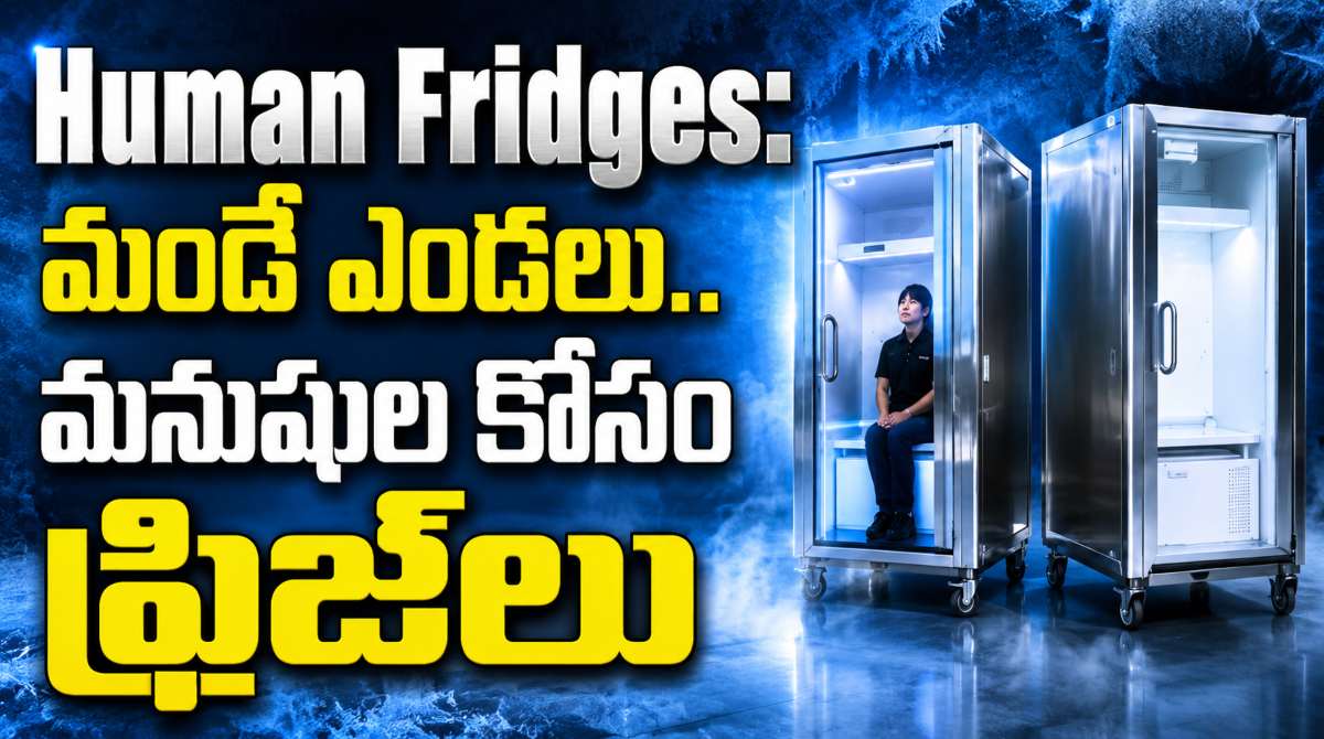Human Fridges introduced in Japan