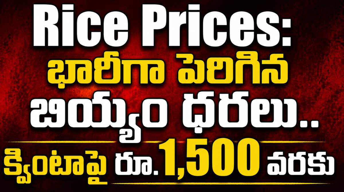 Rice Prices Soar in Telangana: Fine Rice Varieties Become Costlier Despite High Production