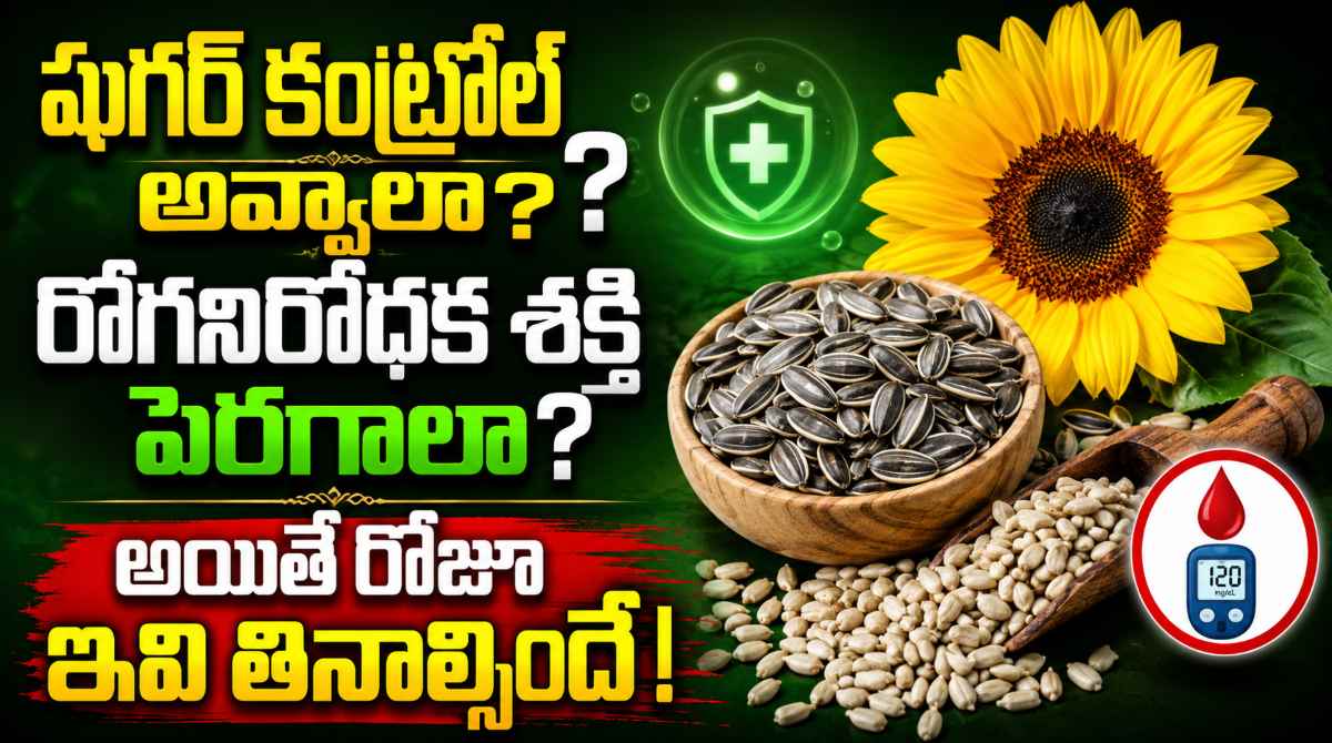 Sunflower Seeds Benefits: If You Eat a Spoon Daily?
