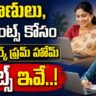 Top Genuine Work From Home Jobs: A Complete Guide to Earning Money Online