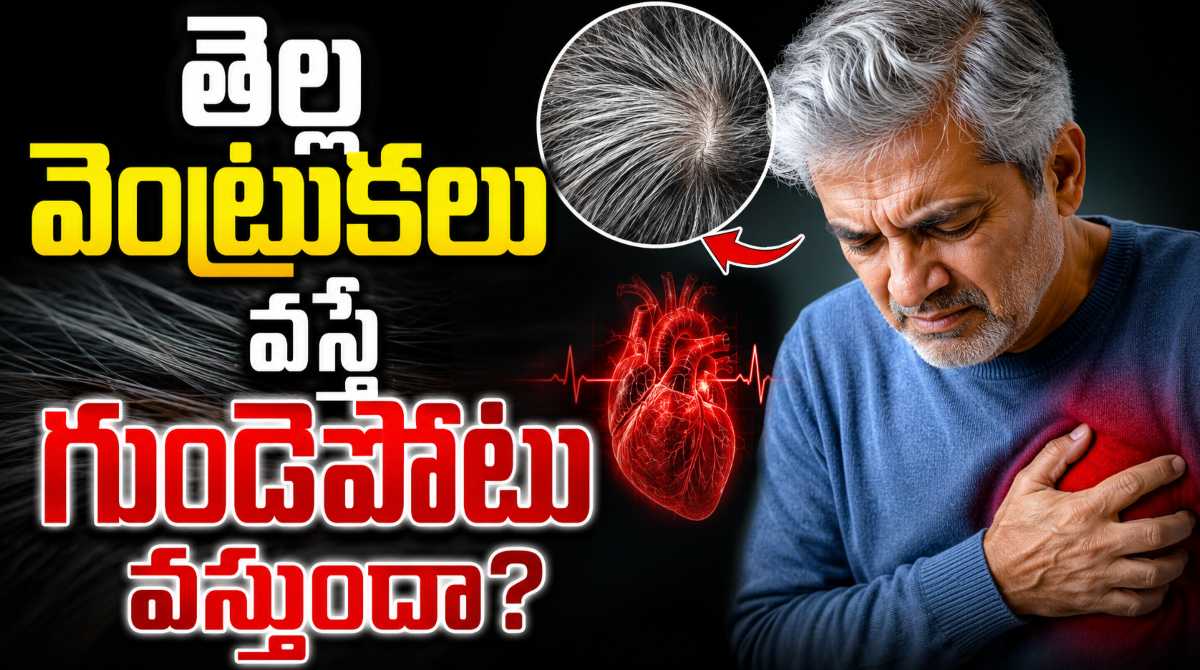 grey hair leads to heart attack