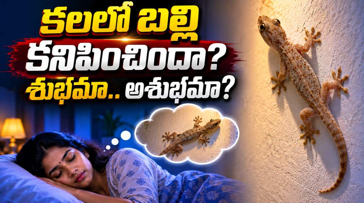 Lizard Dreams: Hidden Meanings You Should Know