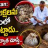 Rajasthan Farmer Buries Rs5 Lakh in Field to Keep It Safe