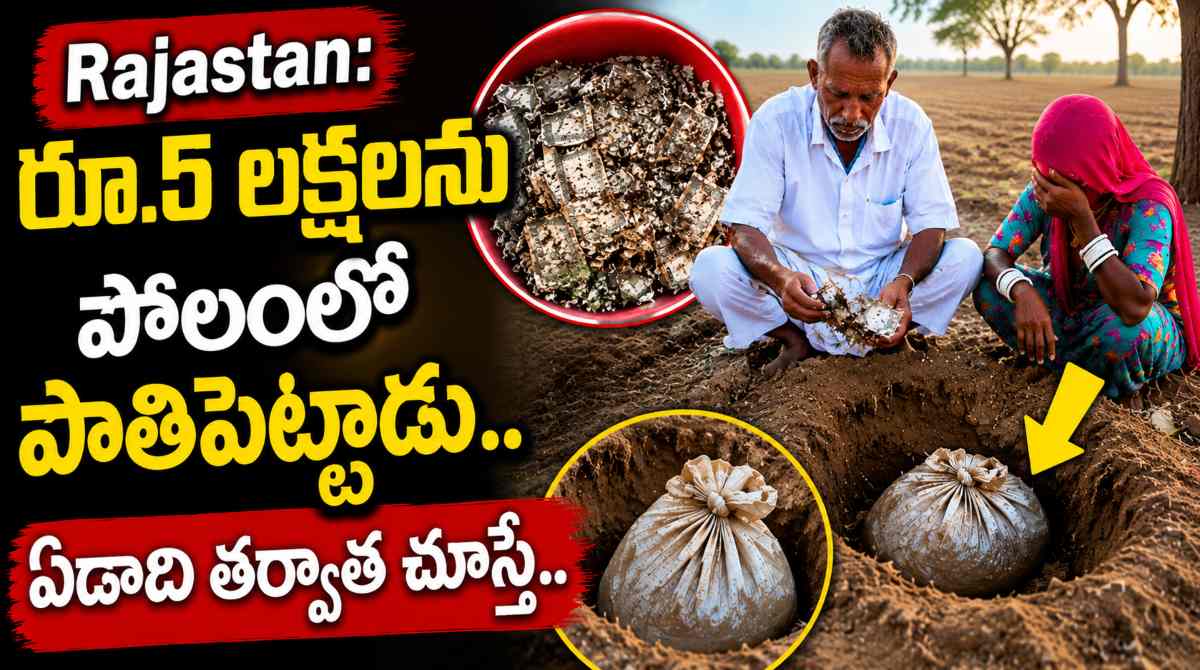 Rajasthan Farmer Buries Rs5 Lakh in Field to Keep It Safe