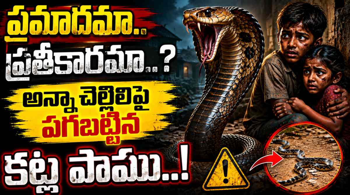 Snake Revenge on Bro & Sister