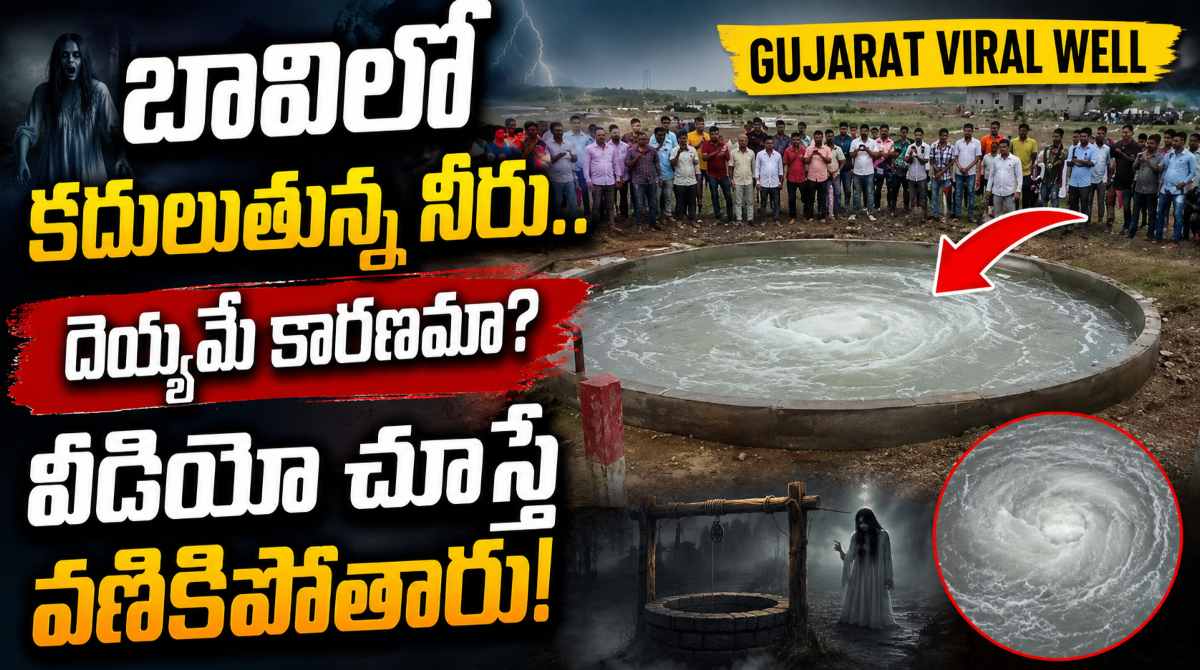 gujarat viral well