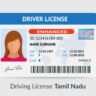 Driving Licence in Just One Day